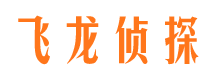 东洲市私家侦探